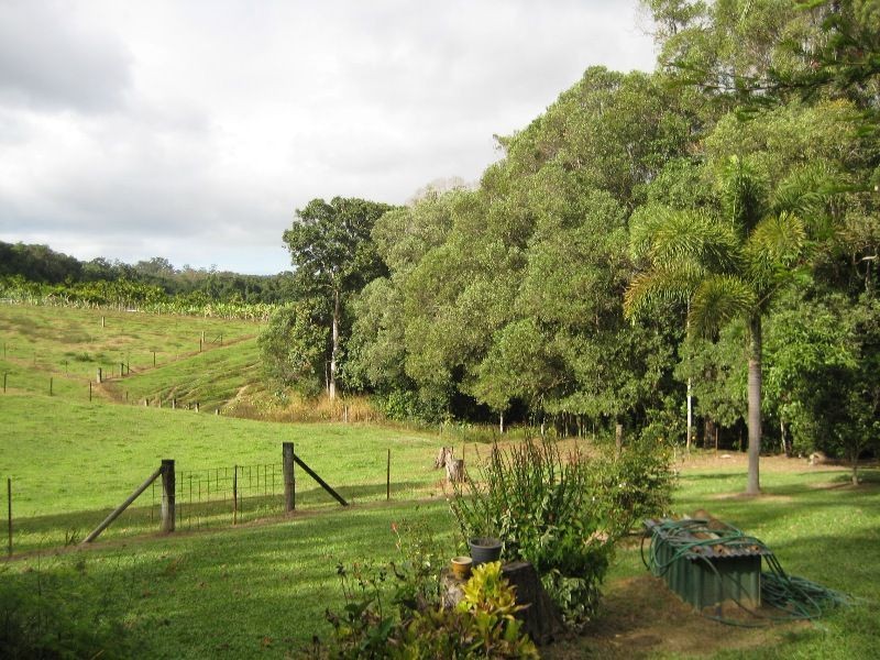 429 Oak Forest Road, Kuranda QLD 4881
