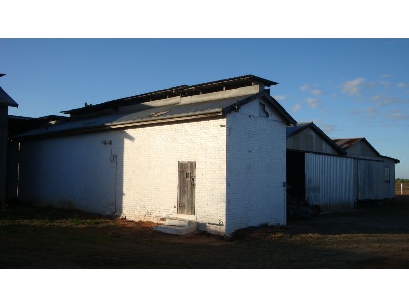 Arriga QLD 4880