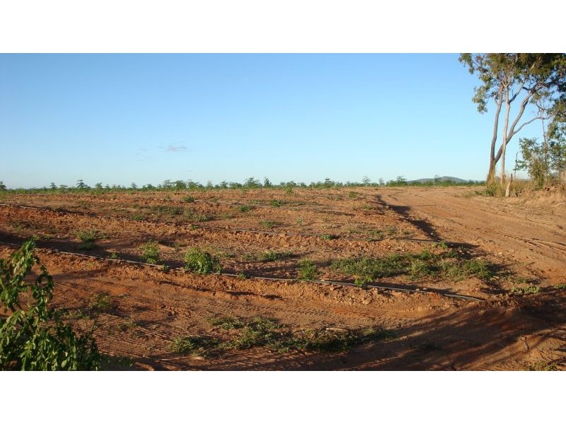 Arriga QLD 4880