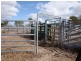 Arriga QLD 4880