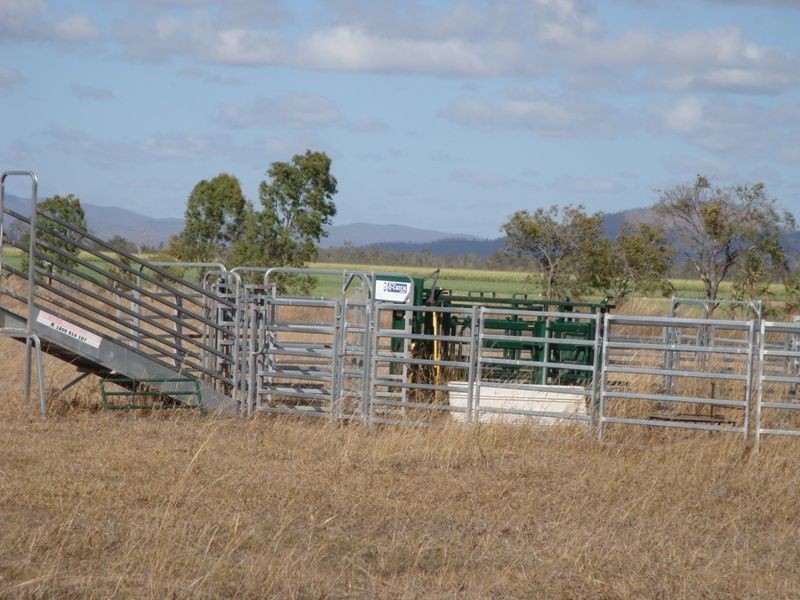 Arriga QLD 4880