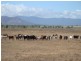 Arriga QLD 4880