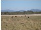 208 Kay Road, Mareeba QLD 4880