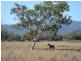 208 Kay Road, Mareeba QLD 4880
