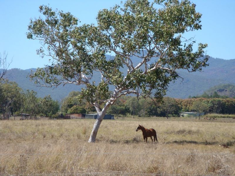 208 Kay Road, Mareeba QLD 4880