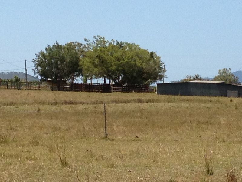 208 Kay Road, Mareeba QLD 4880