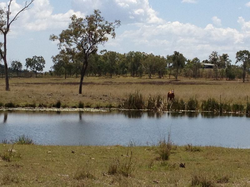 208 Kay Road, Mareeba QLD 4880