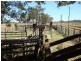 208 Kay Road, Mareeba QLD 4880