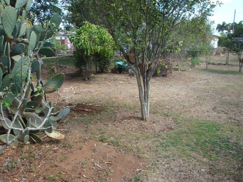 Mareeba QLD 4880