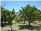 Arriga QLD 4880