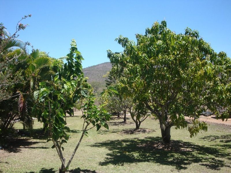 Arriga QLD 4880