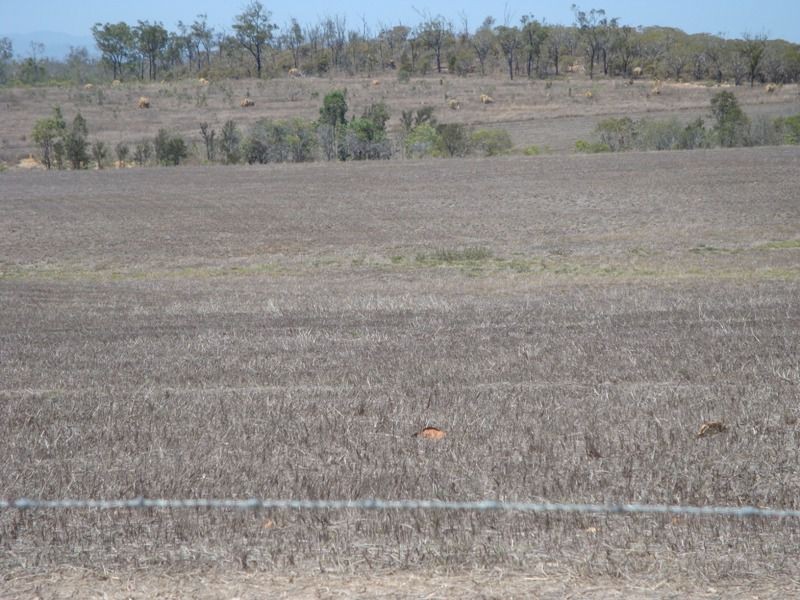 Biboohra QLD 4880