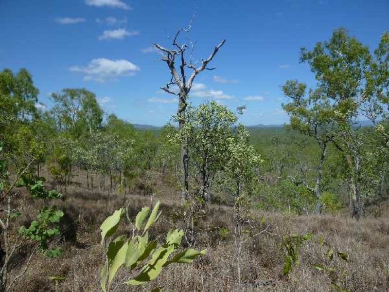 Mareeba QLD 4880