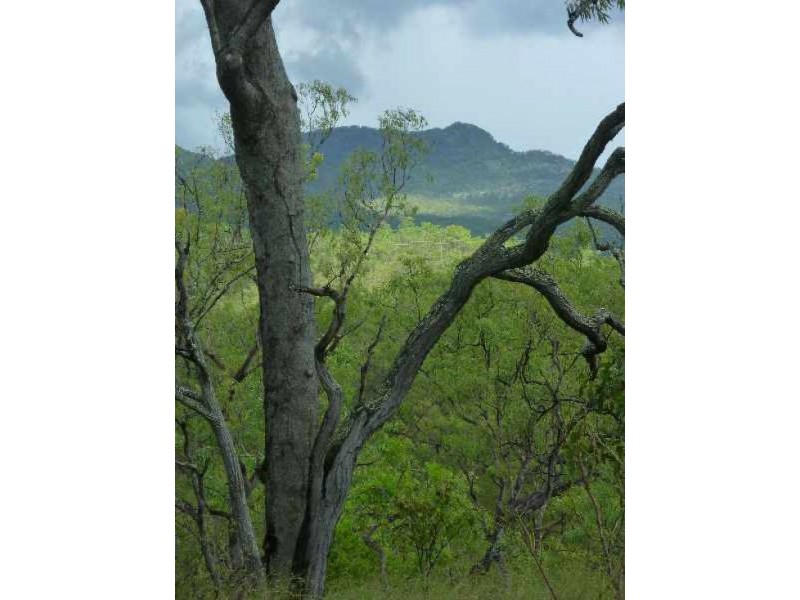Mareeba QLD 4880