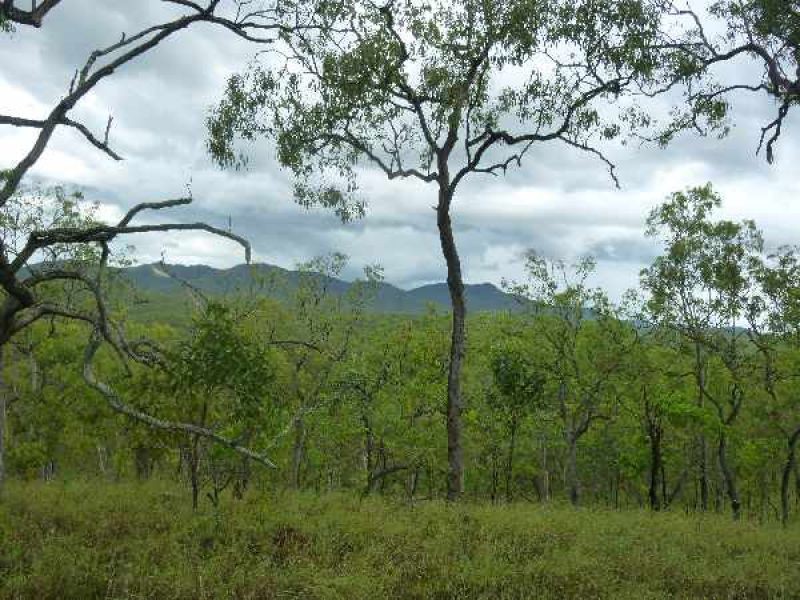 Mareeba QLD 4880
