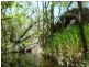 Mareeba QLD 4880
