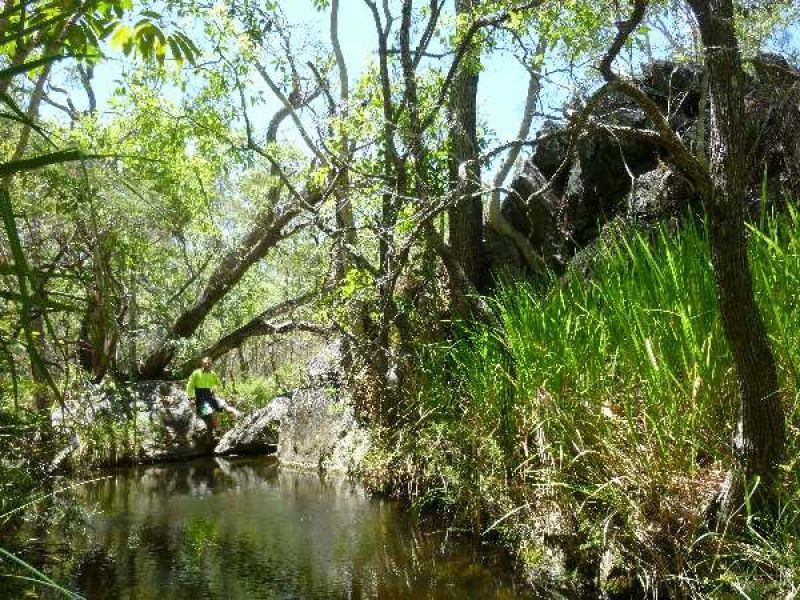 Mareeba QLD 4880