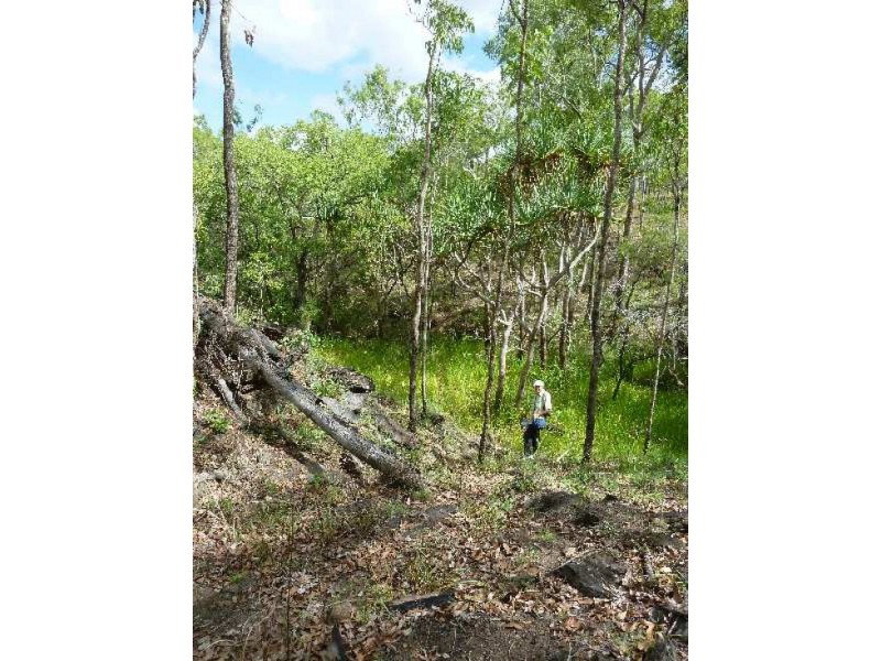 Mareeba QLD 4880