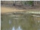Mareeba QLD 4880