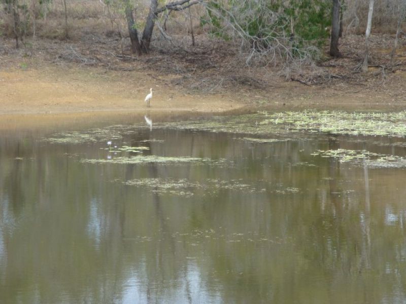 Mareeba QLD 4880