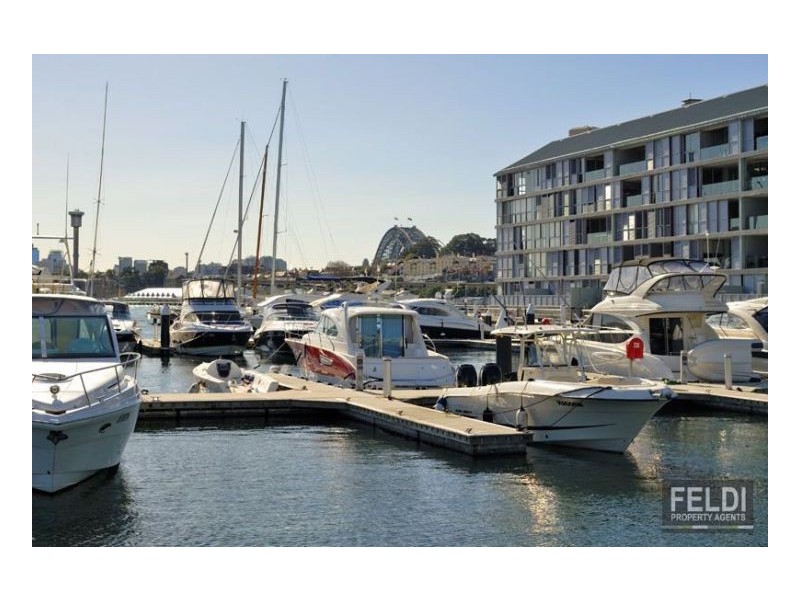 56 Pirrama Road, Pyrmont NSW 2009