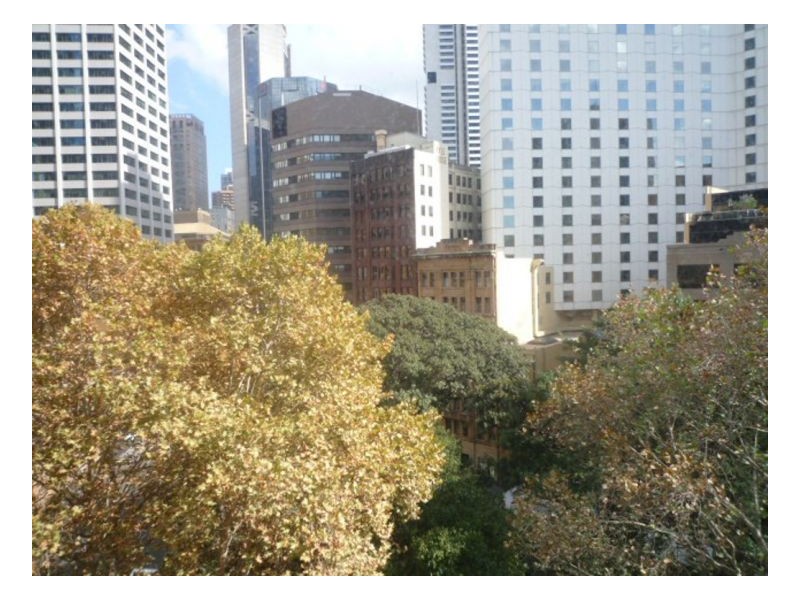 38 Bridge St, Sydney NSW 2000