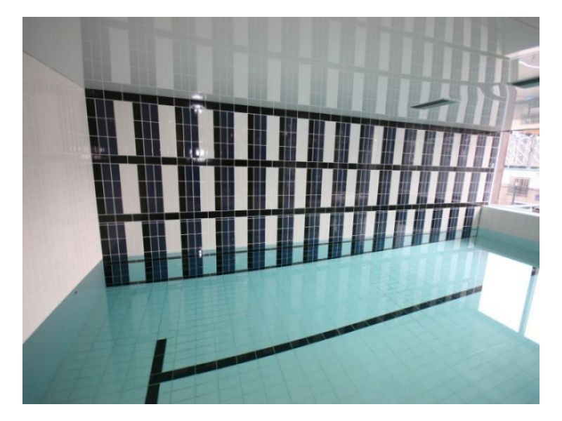 56 Pirrama Road, Pyrmont NSW 2009