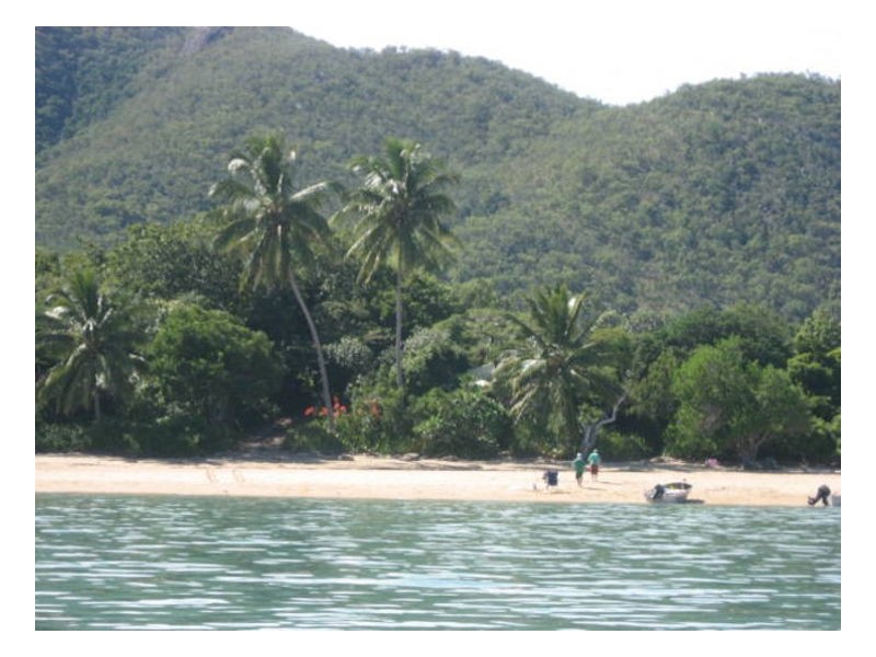 0 Dingo Beach Road, Whitsundays QLD 4802