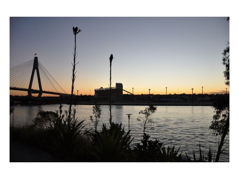 305/1 Distillery Drive, Pyrmont NSW 2009