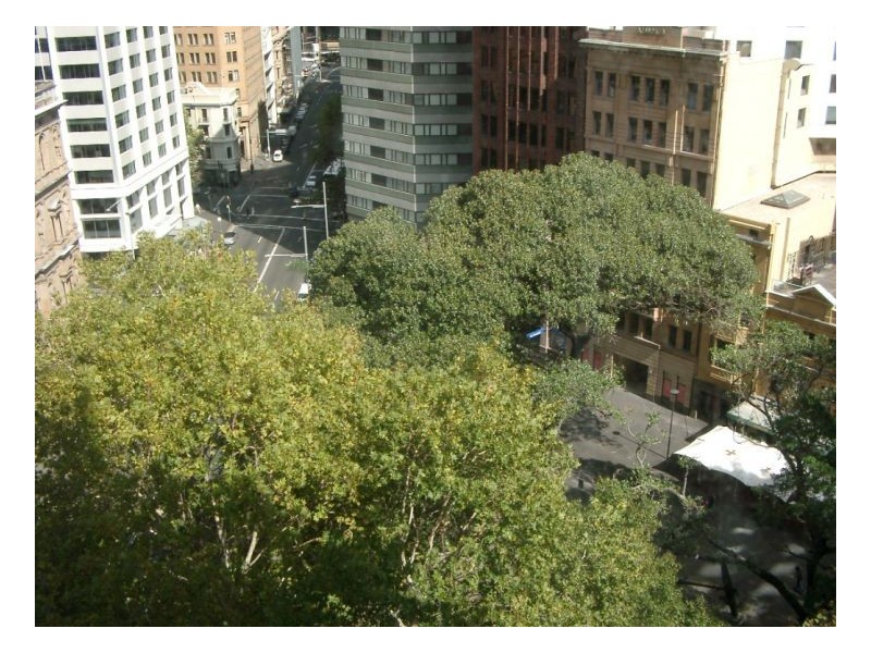 38 Bridge Street, Sydney NSW 2000