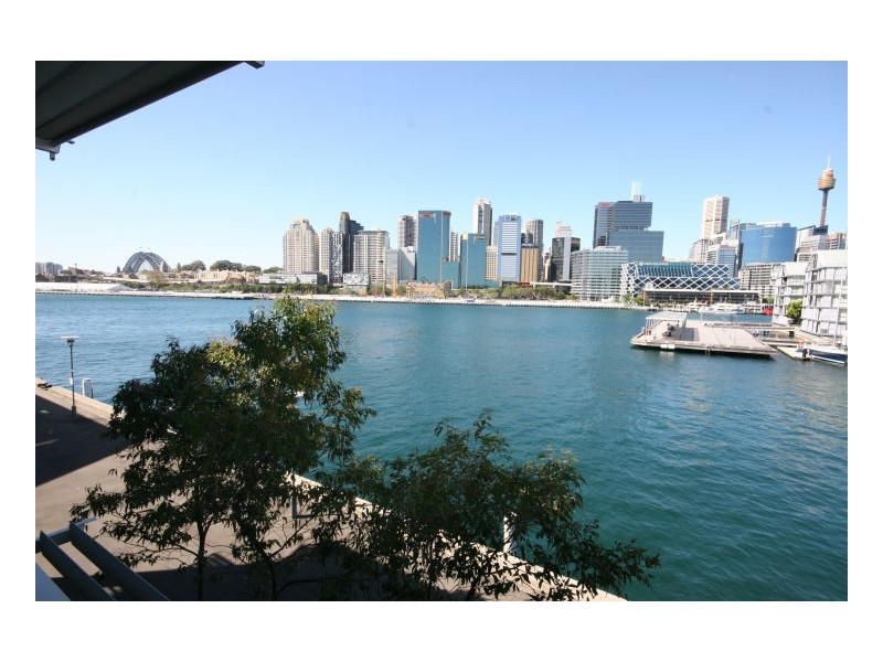 8-14 Wharf Cres, Pyrmont NSW 2009