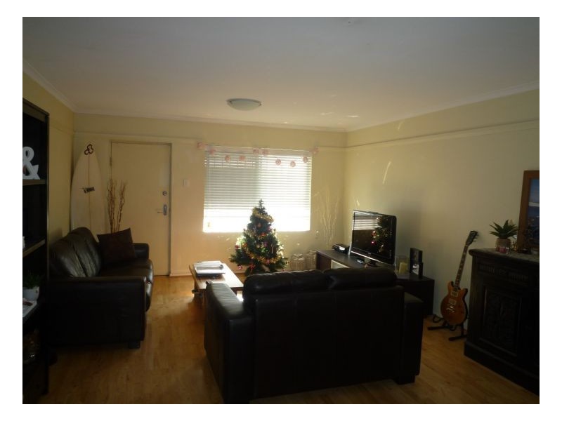 155 Missenden Road, Newtown NSW 2042