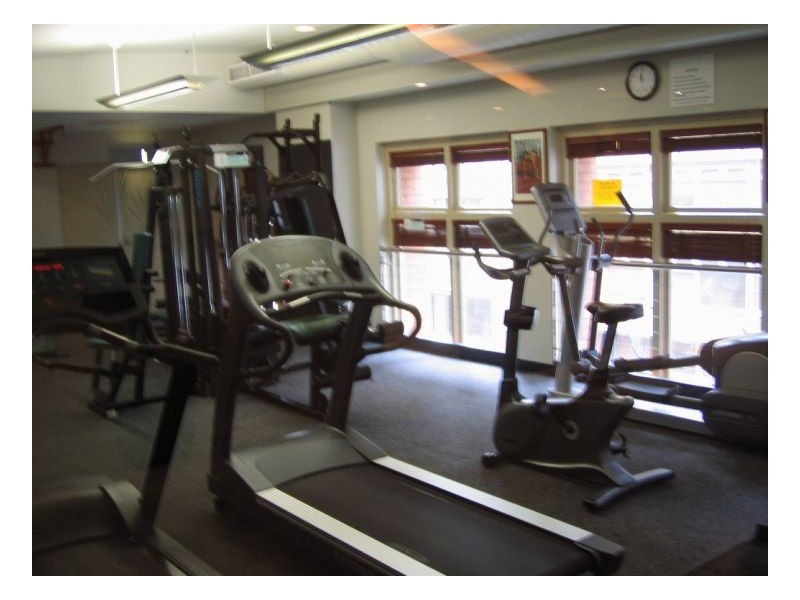 281 Elizabeth Street, Sydney NSW 2000