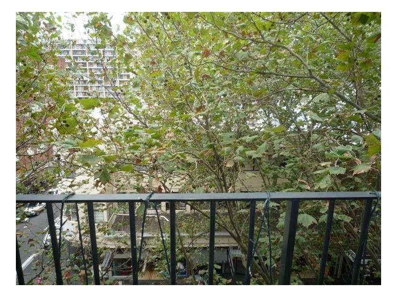 50 Macleay, Potts Point NSW 2011