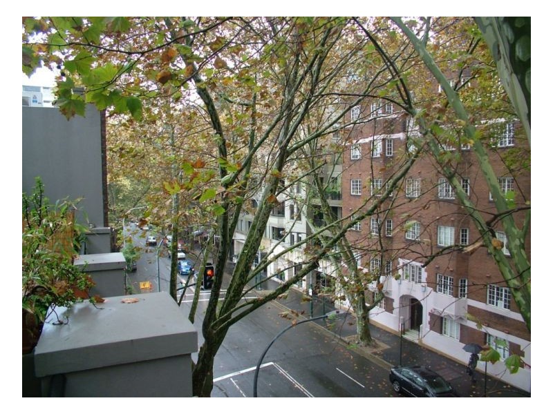 67-69 Macleay Street, Potts Point NSW 2011