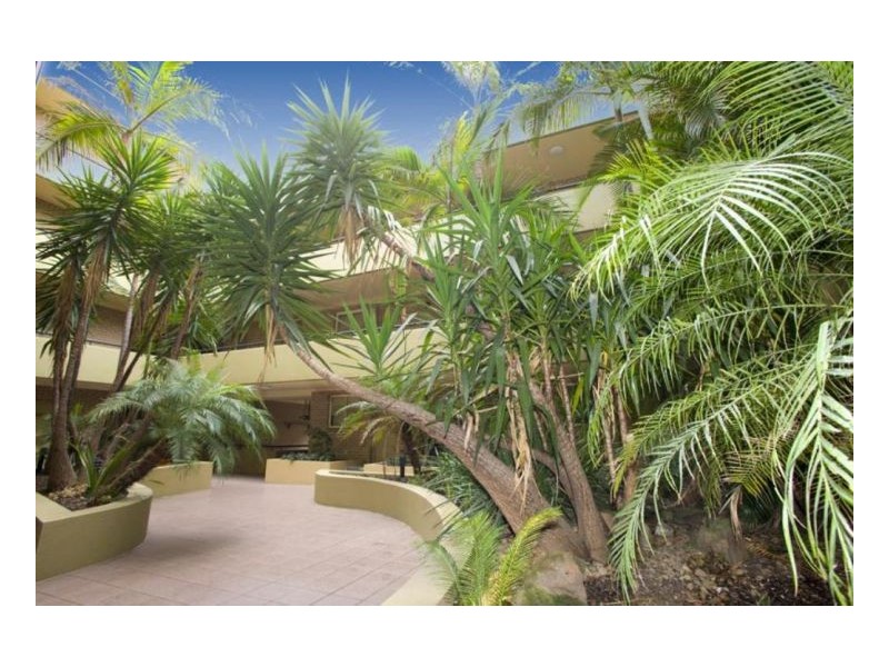 146 Cleveland St, Chippendale NSW 2008