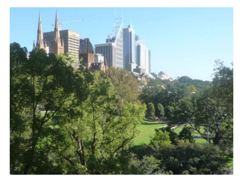 1 Boomerang Place, Woolloomooloo NSW 2011