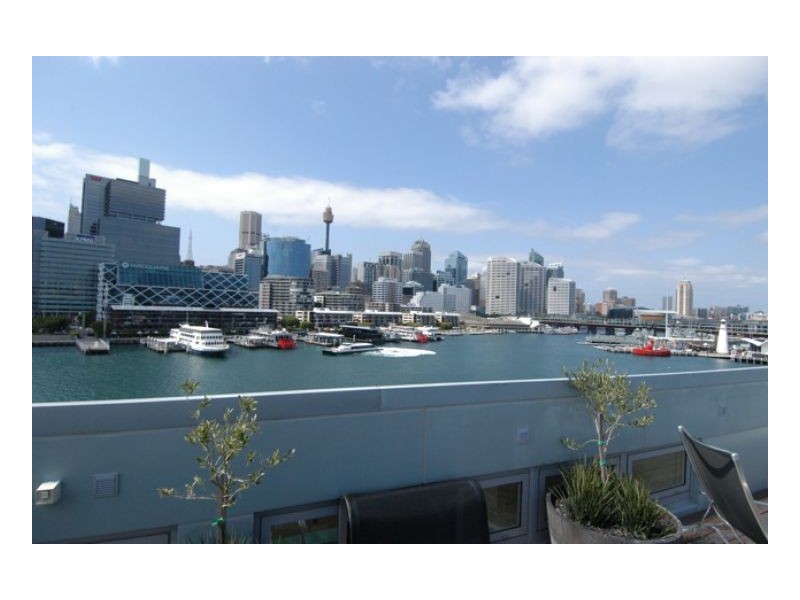 56a Pirrama Road, Pyrmont NSW 2009