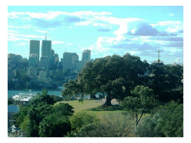 127 Kent St, Sydney NSW 2000