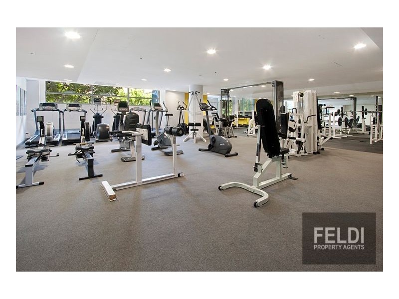 35 Shelley St, Sydney NSW 2000