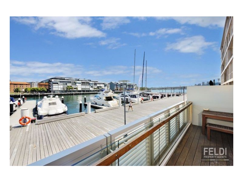 56 Pirrama Rd, Pyrmont NSW 2009