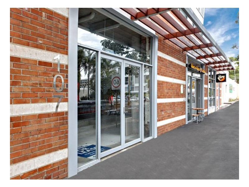 107 Mcevoy Sreet, Alexandria NSW 2015