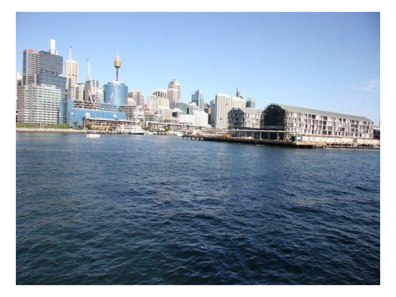 56 Pirrama Road, Pyrmont NSW 2009