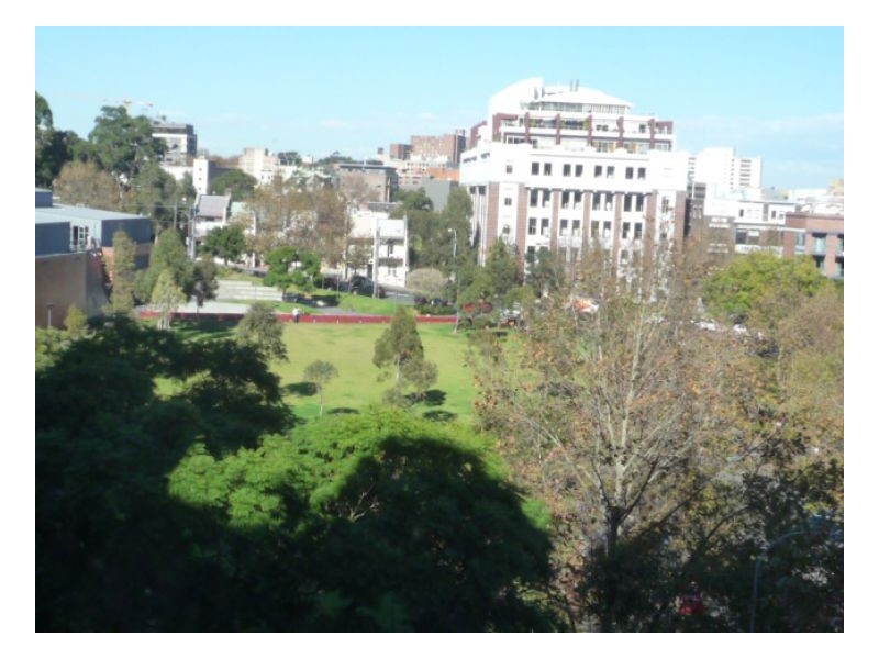 160 Goulburn Street, Surry Hills NSW 2010