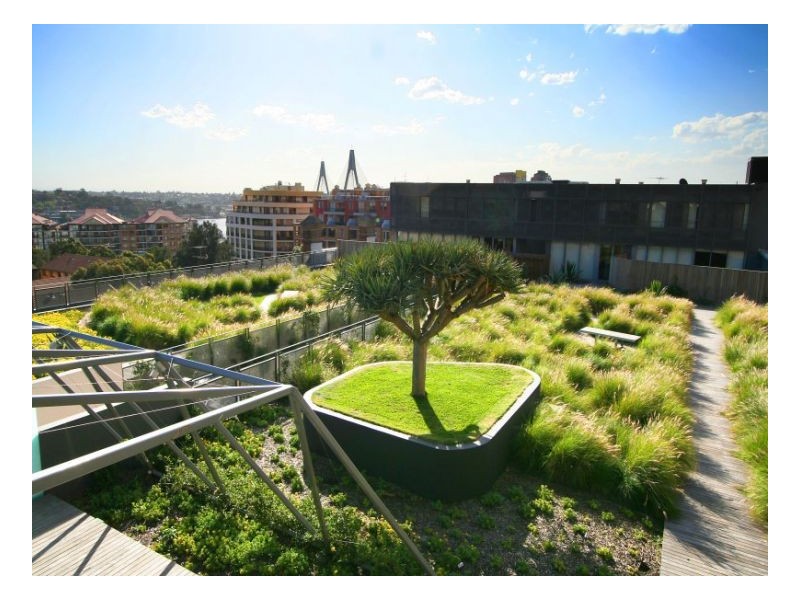 603/320-380 Harris Street, Pyrmont NSW 2009