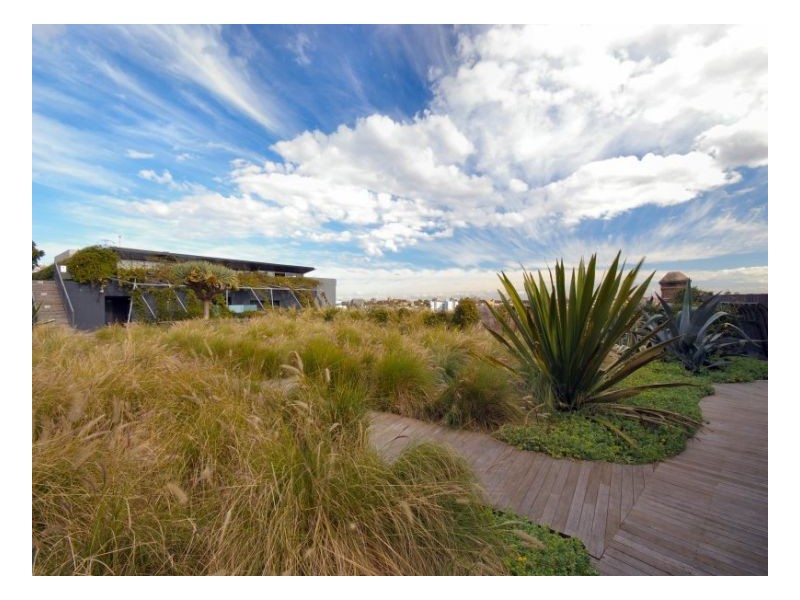 603/320-380 Harris Street, Pyrmont NSW 2009