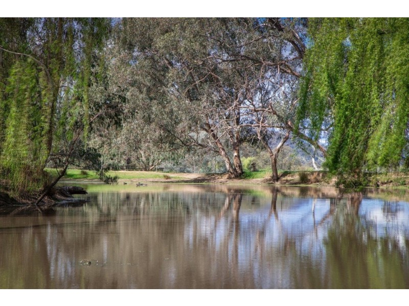 878 Pearsall Street, Hamilton Valley NSW 2641