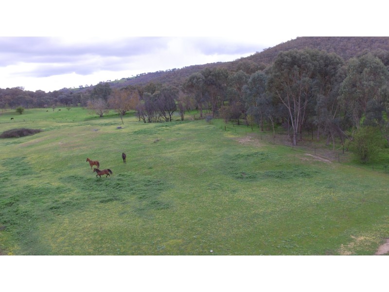 26 Thiseldo Lane, Hamilton Valley NSW 2641