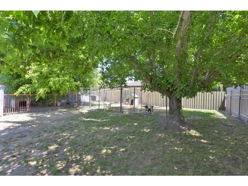 463 Alldis Avenue, Lavington NSW 2641