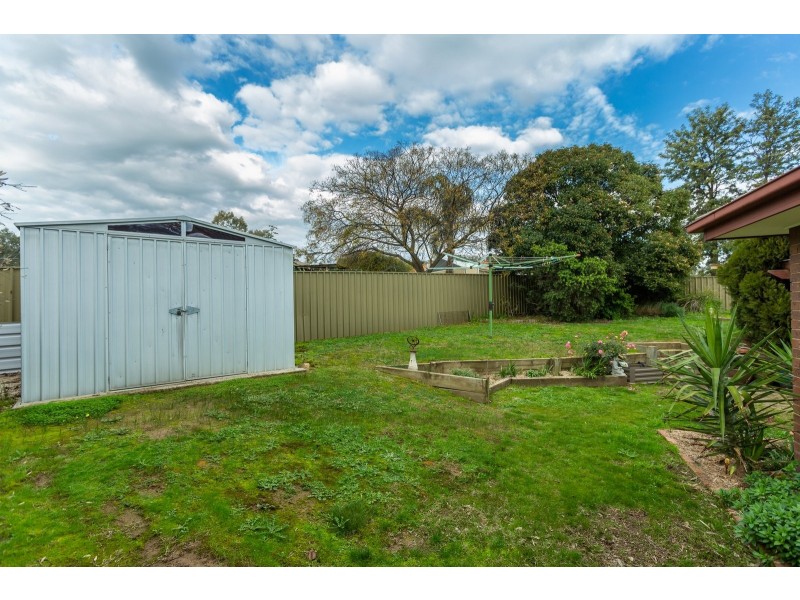 20 Candlebark Street, Thurgoona NSW 2640